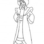 aladin23