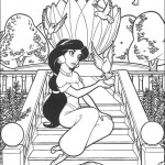 aladin24