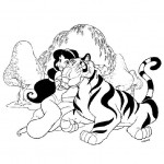 aladin60