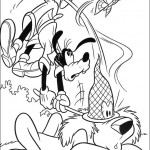 dingo05