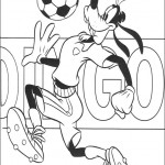 dingo09