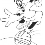 dingo11
