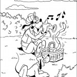 dingo16