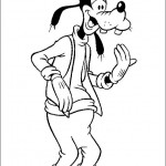 dingo25