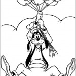 dingo26