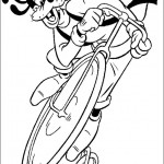 dingo30