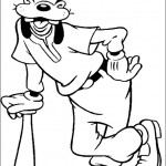 dingo31