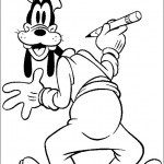 dingo33