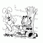 gardfield89