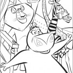 madagaskar06