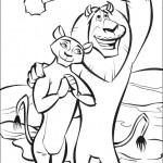 madagaskar09