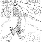madagaskar15