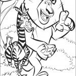 madagaskar17