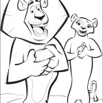 madagaskar28