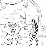 madagaskar30