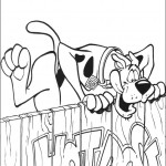 scoobydoo07