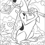 scoobydoo14