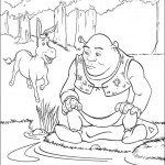 shrek04