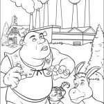shrek08