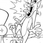 tom-a-jerry30