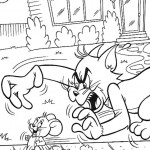 tom-a-jerry31