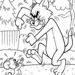 tom-a-jerry32