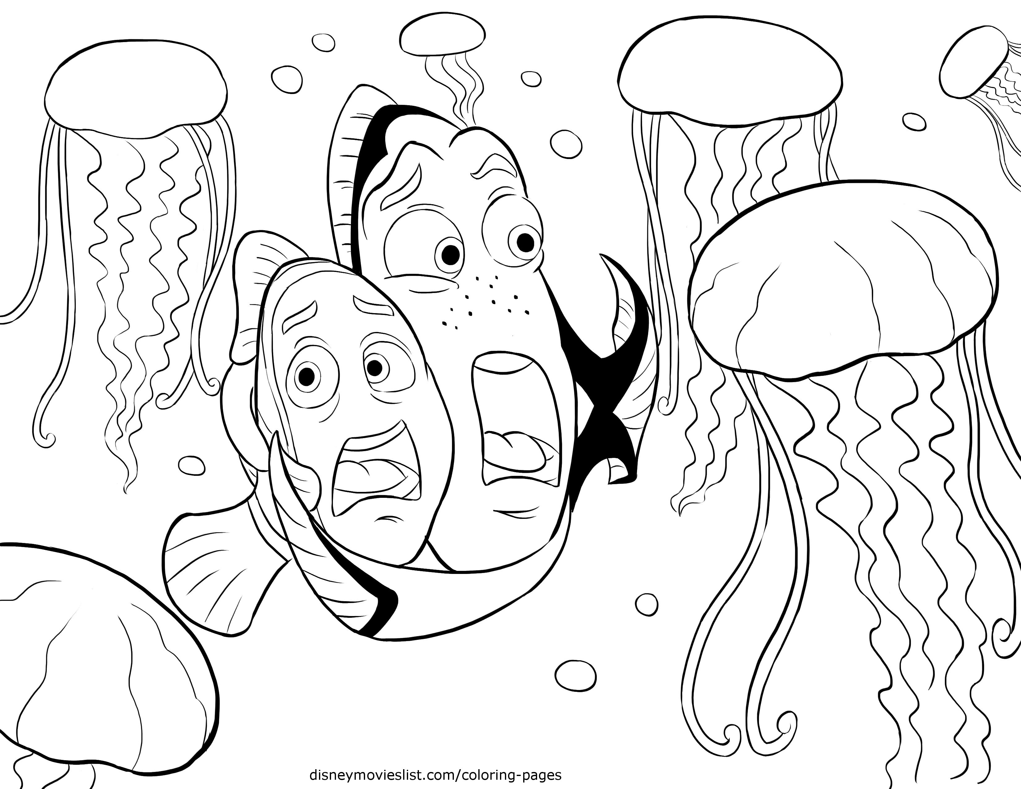 dory marlin